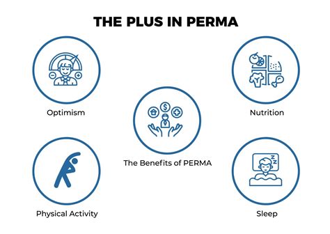 Image result for Perma Model Flow