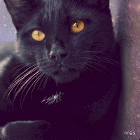 Image result for Cloud Avatar for Java Minecraft