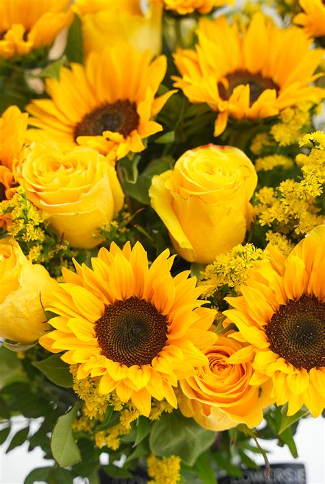Sunflower - Vase | Summer Flower Delivery- Flowers.ie