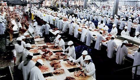 Indian Bone Meal Industries | Quality & Production