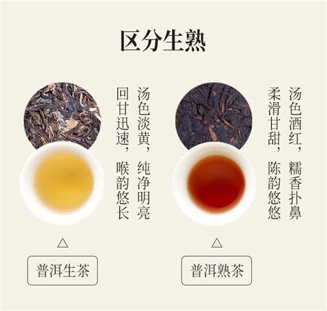 雲南特產：普洱茶介紹及功效製作 - 每日頭條