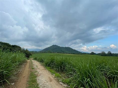 Xtreme Cuatrilocross (Fortin de las Flores) - 2022 What to Know Before ...