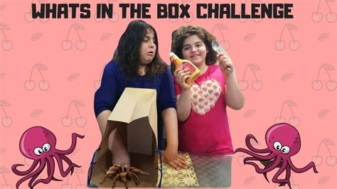 Image result for Bit Box Challenge