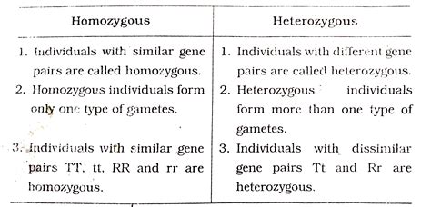 Homozygous And Heterozygous Examples
