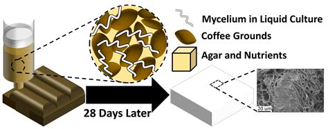 A Review of Mycelium Bio-Composites as Energy-Efficient Sustainable ...