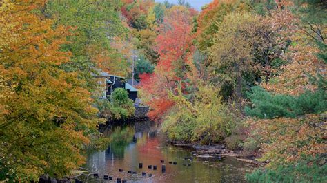 Peterborough, US Vacation Rentals: house rentals & more | Vrbo