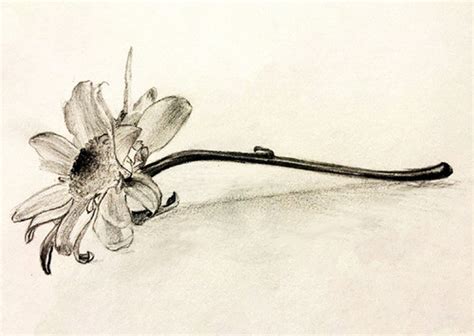 Image result for Drawing Tutorials Adult Beginner