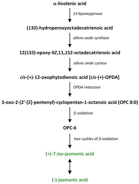 Biosynthetic Pathways of Hormones in Plants