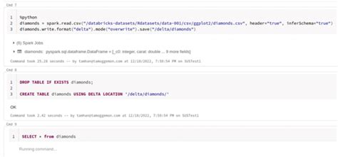 Databricks Tutorial Data Lake 的图像结果