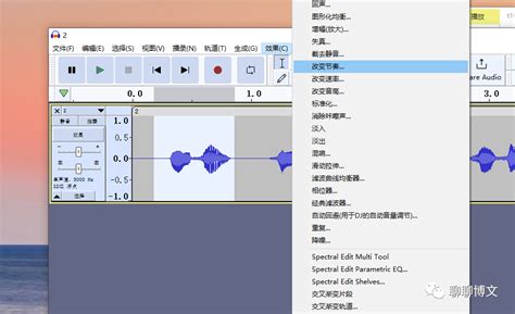 Audacity License 的图像结果