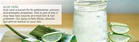 Aloe Global Natural Aloe Vera Liquid Spray for Face, Skin and Hair ...