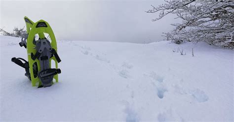 Ciaspolata al Monte Falterona. Escursione guidata con le ciaspole nel ...