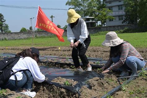 【劳动教育】生命科学与资源环境学院农学专业成功开展劳动教育实践活动