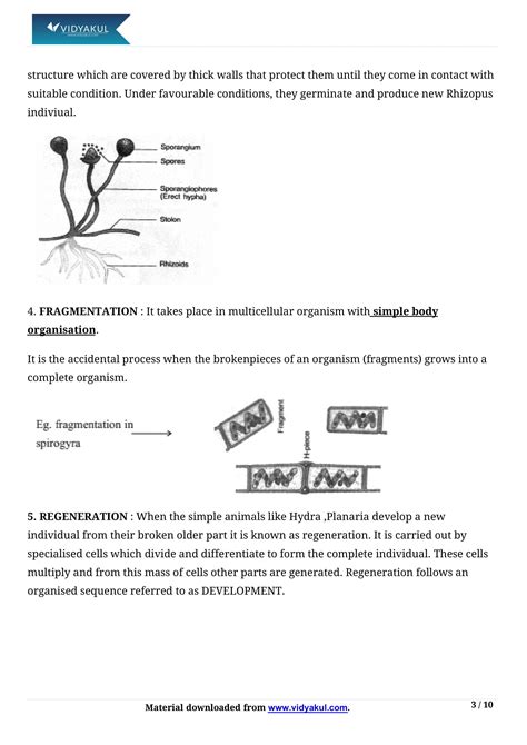 Class 10 Chapter How Do Organisms Reproduce with Notes 的图像结果