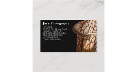 Unique Photography Business Cards 的图像结果