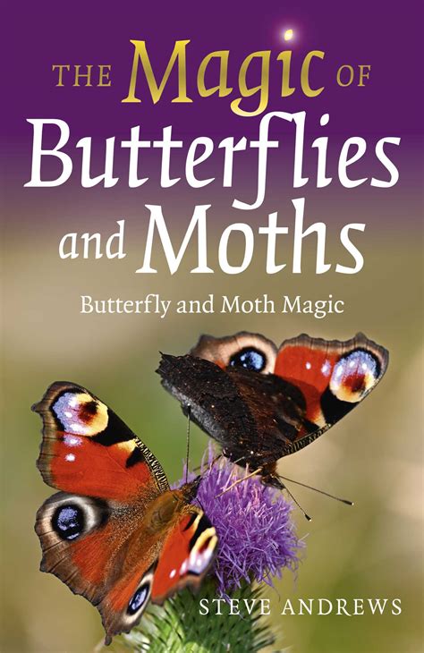 The Magic of Butterflies and Moths eBook by Steve Andrews | Official ...