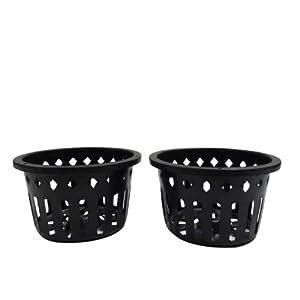 Click Orchid Net Pot Plastic 6 Inch Orchid/Hydroponics Pot, Black, Set ...