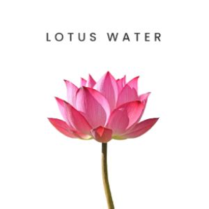 THANKYOU FARMER Rice Pure Essential Toner (200 ml) | Hydrating, Anti ...