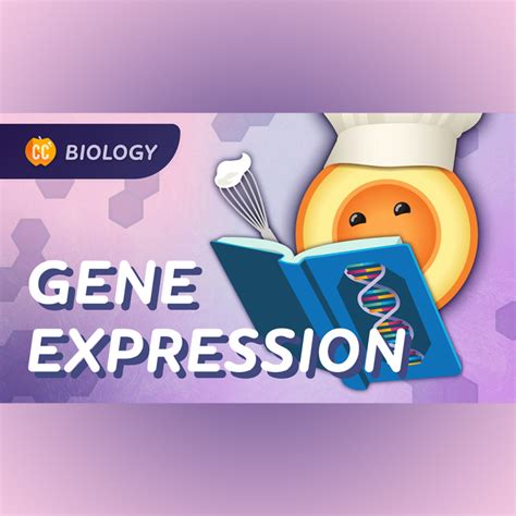 Crash Course Science 的图像结果