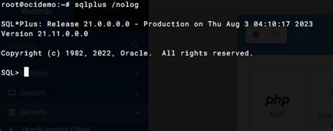 Image result for Oracle SQL Plus Install