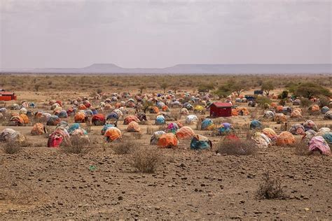 East Africa on verge of worst drought in decades
