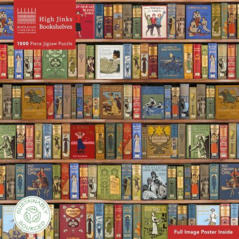 Buy Flame Tree Gift Bodleian Library: High Jinks Bookshelves Jigsaw ...