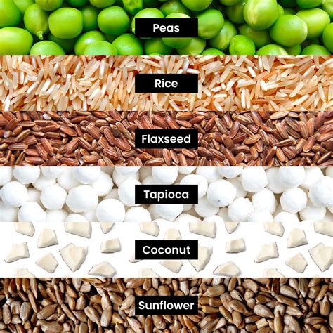 Buy Huel Black Edition Protein Powder Meal Replacement Shake - Cookies ...