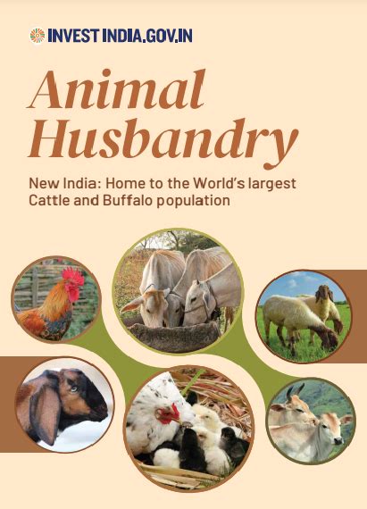 Animal Husbandry and Dairying