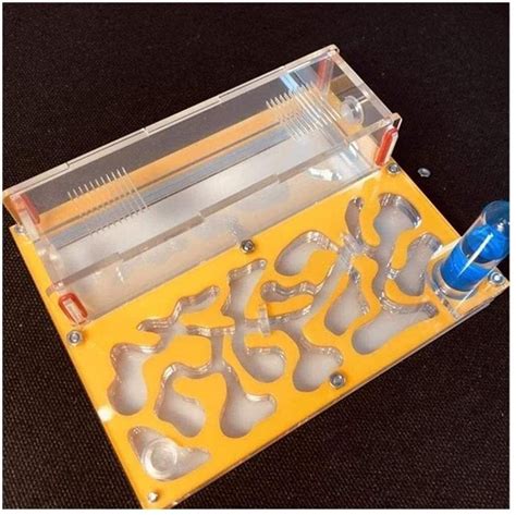 Buy Xkun Ant Ant Ant Engineering Farm Ant House Ant Villa Ant habitat ...
