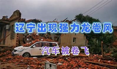 辽宁突发龙卷风 行驶中的车辆被卷起 的图像结果