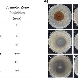 Image result for Disk Diffusion Method Procedure