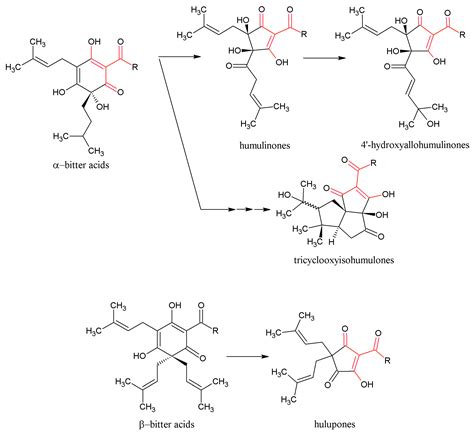 Hop Phytochemicals and Their Potential Role in Metabolic Syndrome ...