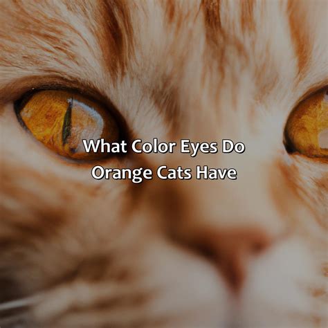 Brown Matching Colour 的图像结果