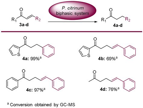 Whole Cells as Biocatalysts in Organic Transformations