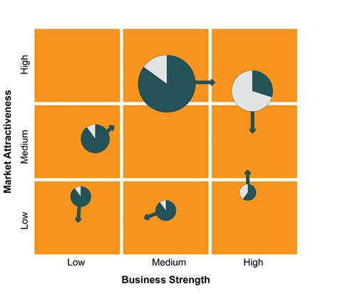 Portfolio Management for Dummies | Product Focus