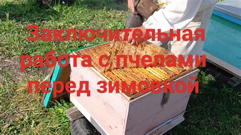 Заключительная работа с пчелами перед зимовкой - YouTube
