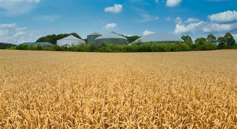 Maissilage & Co: Diese Substrate für Biogas sind am wirtschaftlichsten ...