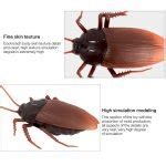 Image result for Fake Remote Control