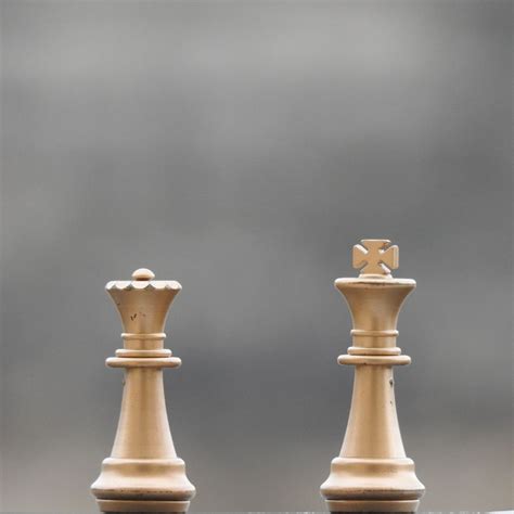 Theme Birthday T-Shirts – T Bhai