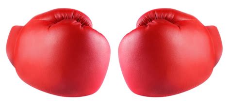 Boxing Match Back View Shot 的图像结果