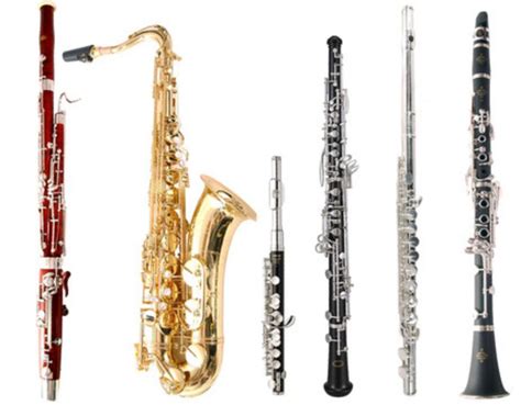Image result for Woodwind Band Instruments