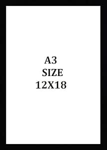 Heritage Hangings - A3 Elegance Photo Frame (12 x 18 Inch, Black ...