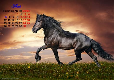 下载壁纸 日历, 2014, 马年 免费为您的桌面分辨率的壁纸 7016x4961 — 图片 №552478
