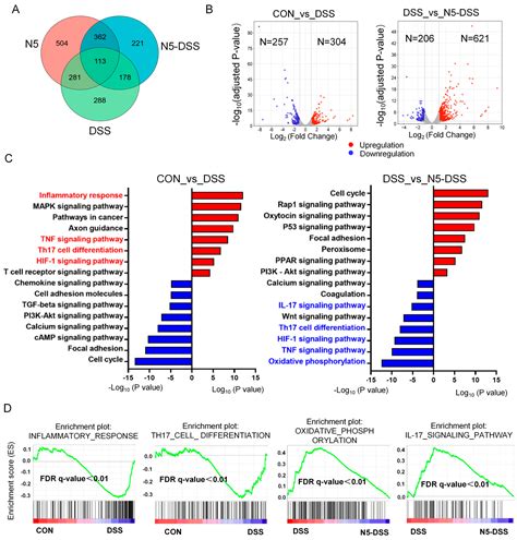Probiotic Lactobacillus johnsonii Reduces Intestinal Inflammation and ...