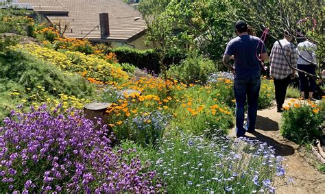 Spring Native Garden Ramble - Redlands and Riverside, 11 May 2024 ...
