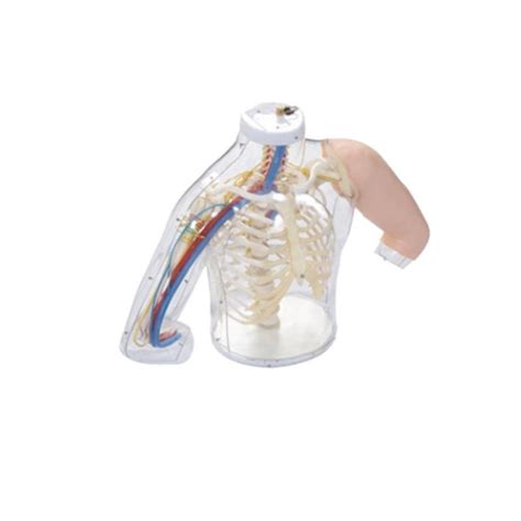 Arm Injection 的图像结果