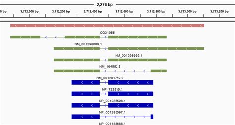 Image result for Gff Compare Class Code