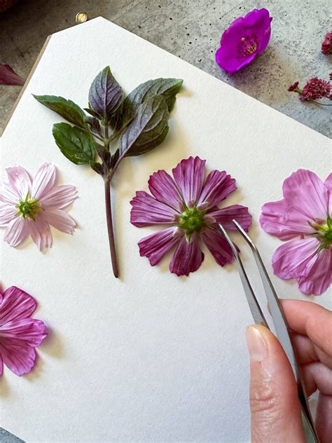 Pressing Flowers for Beginners: How to Press Flowers 4 Ways (Pros and Cons) ~ Homestead and Chill