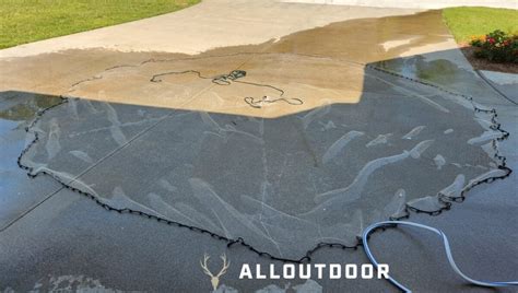 Cast Net Fishing Tips 的图像结果