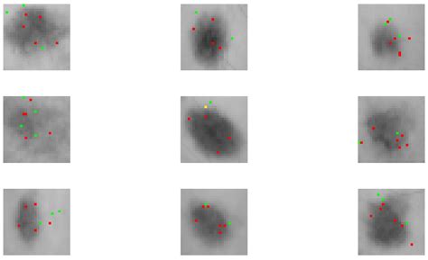 A Two-Step Rule-Extraction Technique for a CNN